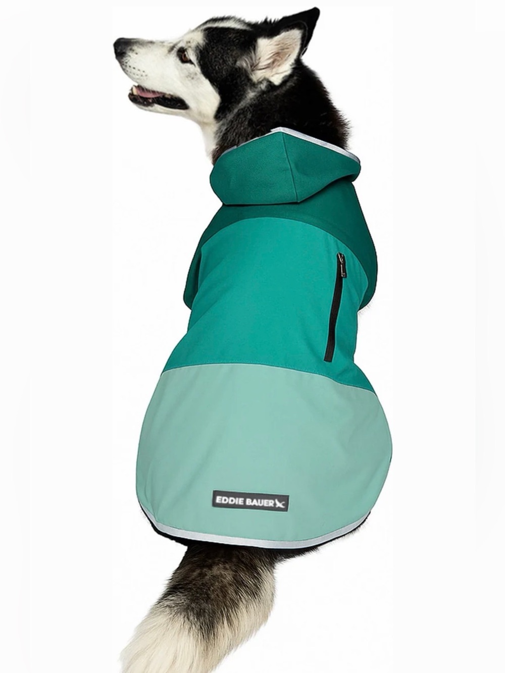 New with tags Eddie Bauer Teal and Mint Colorblock Dog Raincoat w/ Hood Size L.